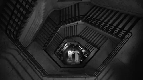 ripley_frame_1738695008.700022.webp