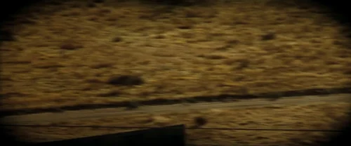 se7en_frame_1738663535.5605159.webp