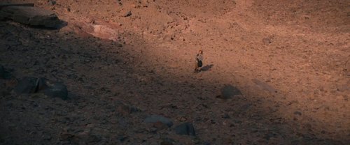settlers_frame_1748474422.726386.jpg