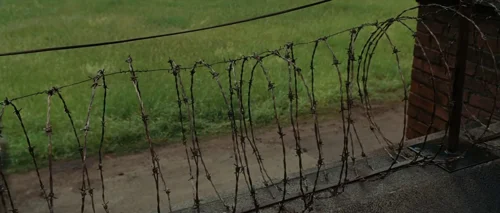 shutter_island_frame_1738665258.69813.webp
