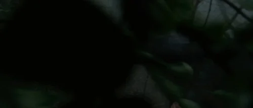 shutter_island_frame_1738665269.3854792.webp