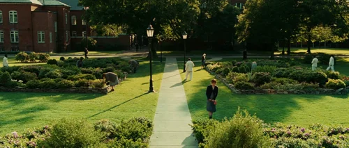 shutter_island_frame_1738665295.9261844.webp