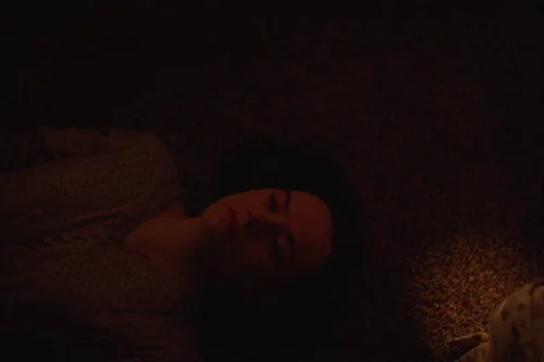 sometimes_i_think_about_dying_frame_1739383790.9506938.webp