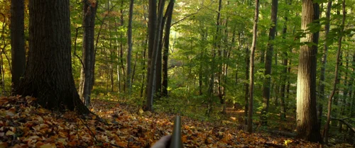split_frame_1749598057.5281847.webp