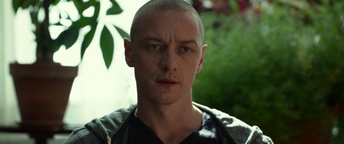 split_frame_1749598068.1721923.jpg