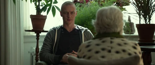 split_frame_1749598068.59929.webp