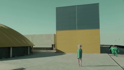 st_vincent___digital_witness_frame_22.webp