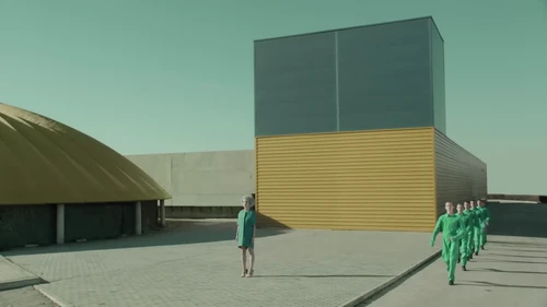 st_vincent___digital_witness_frame_26.webp
