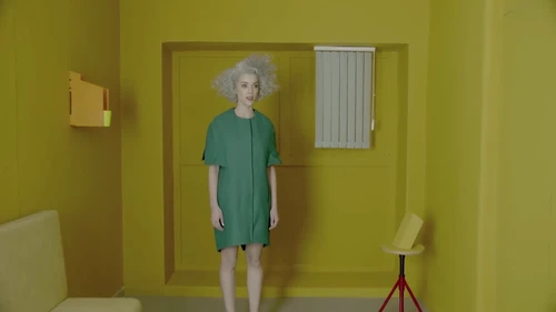 st_vincent___digital_witness_frame_33.webp