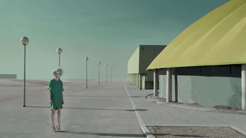 st_vincent___digital_witness_frame_36.webp