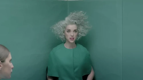 st_vincent___digital_witness_frame_44.webp