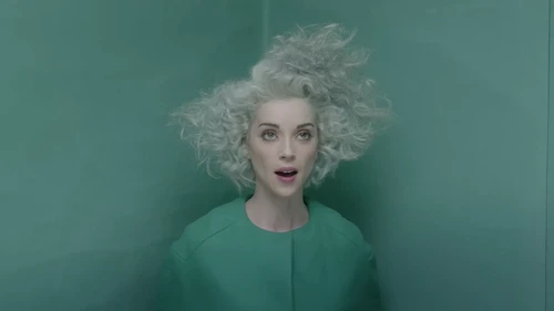 st_vincent___digital_witness_frame_47.webp