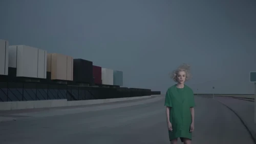 st_vincent___digital_witness_frame_72.webp