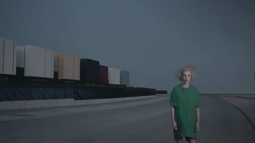 st_vincent___digital_witness_frame_94.webp