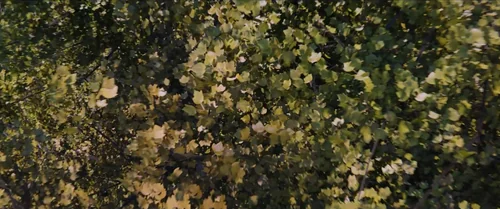 the_5th_wave_frame_1738642243.1122618.webp