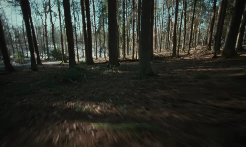 the_hives___bogus_operandi_official_music_video_frame_15.webp