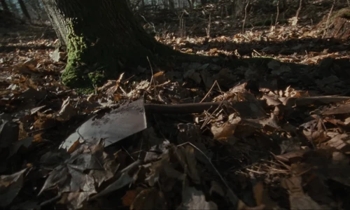 the_hives___bogus_operandi_official_music_video_frame_18.webp