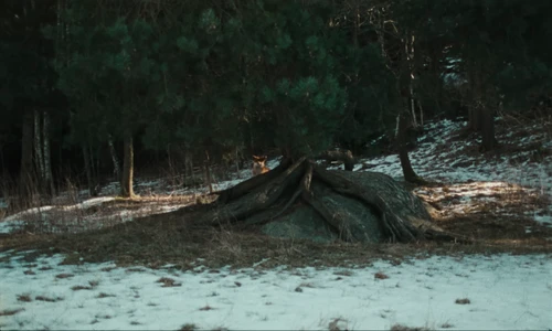 the_hives___bogus_operandi_official_music_video_frame_3.webp
