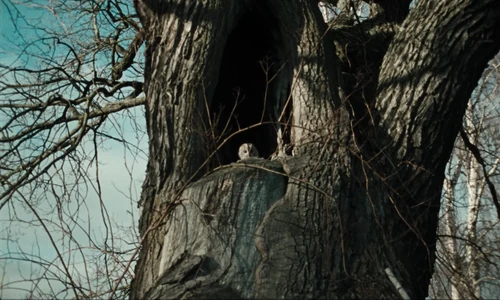 the_hives___bogus_operandi_official_music_video_frame_8.webp