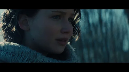 the_hunger_games:_catching_fire_frame_1738694410.9227962.webp
