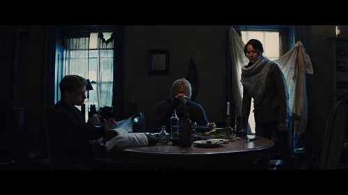 the_hunger_games:_catching_fire_frame_1738694412.2761421.webp