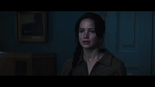 the_hunger_games:_catching_fire_frame_1738694412.5247693.webp