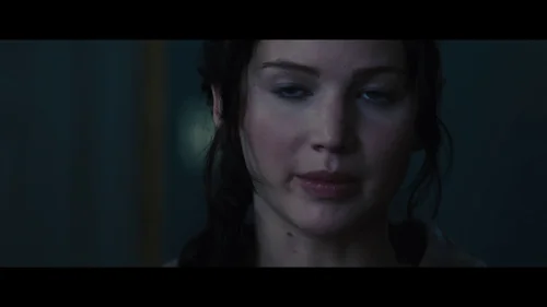 the_hunger_games:_catching_fire_frame_1738694413.1228557.webp