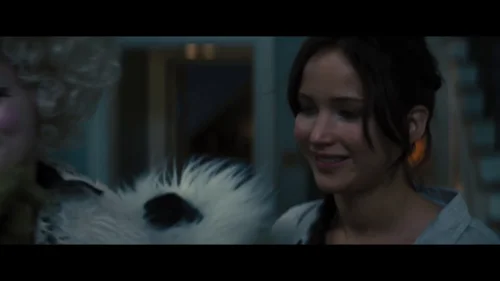 the_hunger_games:_catching_fire_frame_1738694413.8882966.webp