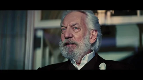 the_hunger_games:_catching_fire_frame_1738694420.7014916.webp