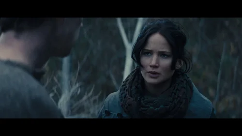 the_hunger_games:_catching_fire_frame_1738694421.8739057.webp