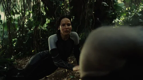 the_hunger_games:_catching_fire_frame_1738694439.2246232.webp