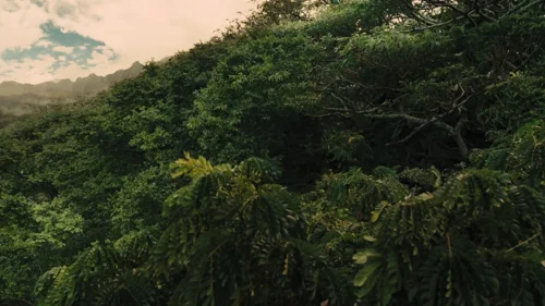 the_hunger_games:_catching_fire_frame_1738694439.981567.webp
