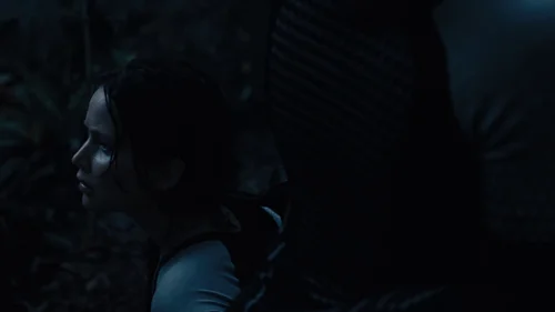 the_hunger_games:_catching_fire_frame_1738694441.132414.webp