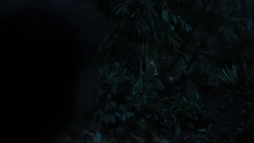 the_hunger_games:_catching_fire_frame_1738694441.4438772.webp