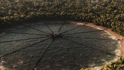 the_hunger_games:_catching_fire_frame_1738694446.6503813.webp
