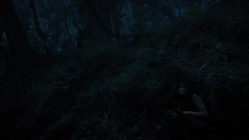 the_hunger_games:_catching_fire_frame_1738694452.0293815.webp