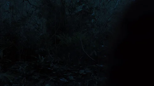 the_hunger_games:_catching_fire_frame_1738694452.3754056.webp