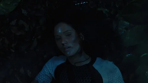 the_hunger_games:_catching_fire_frame_1738694453.1242363.webp