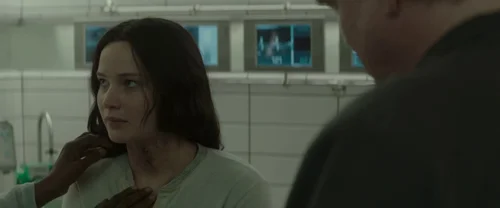 the_hunger_games:_mockingjay_-_part_2_frame_1738694574.4284325.webp