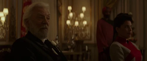 the_hunger_games:_mockingjay_-_part_2_frame_1738694577.4628682.webp