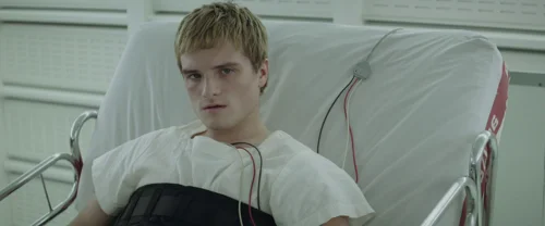 the_hunger_games:_mockingjay_-_part_2_frame_1738694578.262936.webp