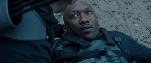 the_hunger_games:_mockingjay_-_part_2_frame_1738694583.425097.webp
