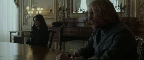 the_hunger_games:_mockingjay_-_part_2_frame_1738694594.1686804.webp