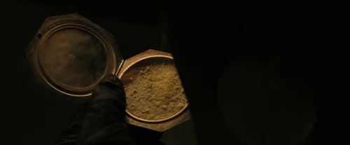 the_hunger_games:_the_ballad_of_songbirds_&_snakes_frame_1738694651.7117987.webp
