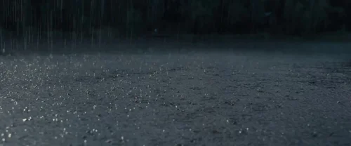 the_hunger_games:_the_ballad_of_songbirds_&_snakes_frame_1738694673.2604418.webp