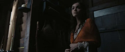 the_hunger_games:_the_ballad_of_songbirds_&_snakes_frame_1738694673.746221.webp