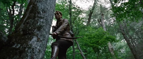 the_hunger_games_frame_1738666651.0745542.webp
