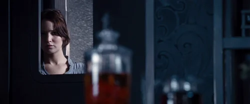 the_hunger_games_frame_1738666658.1526766.webp