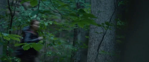 the_hunger_games_frame_1738666672.4735177.webp