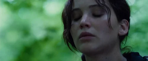 the_hunger_games_frame_1738666672.9179716.webp